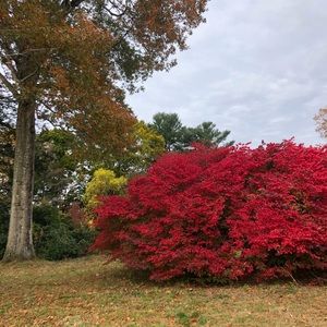 Meet your Posher, Libby
